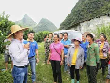 向上向善的深圳力量 “鑫果兴农”助力乡村振兴