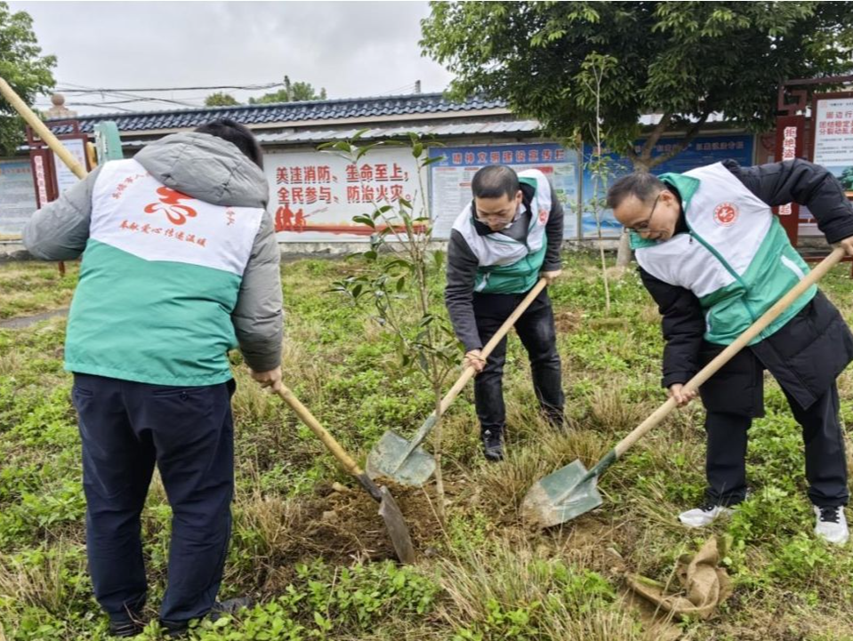因地制宜全民参与，英德开年乡村绿化植树2.2万株