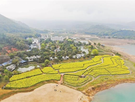 百千万工程的深圳力量·河源篇丨“当代赵佗”衔命出征深耕河源