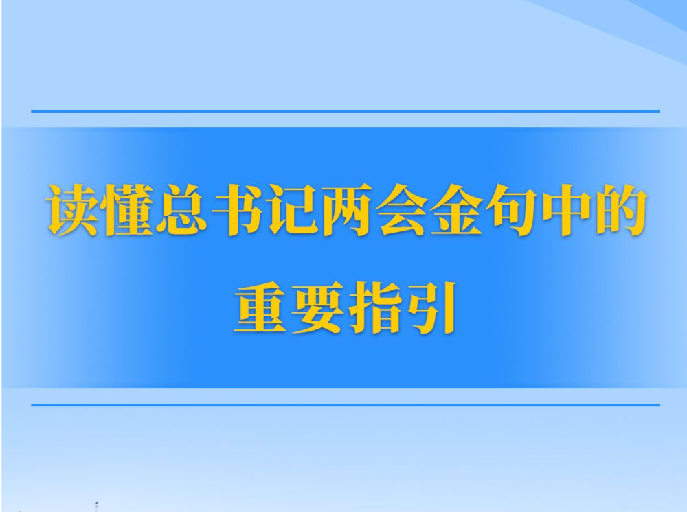 两会第一观察｜读懂总书记两会金句中的重要指引