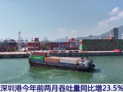 同比增23.5% 深圳港今年前两月吞吐量达483万标箱