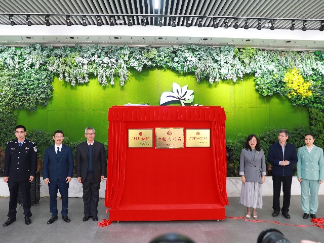 祝贺她们！广东省三八红旗集体、省巾帼文明岗