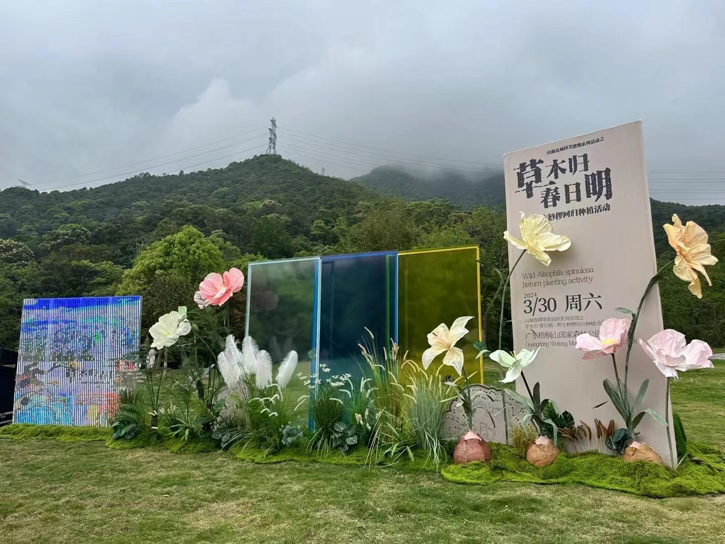 山海连城 绿美深圳 |  夜鹭桫椤金线兰回归大自然