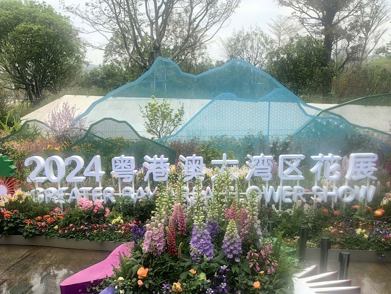 看繁花，见繁华！2024粤港澳大湾区花展惊艳“绽放”，打卡攻略来了