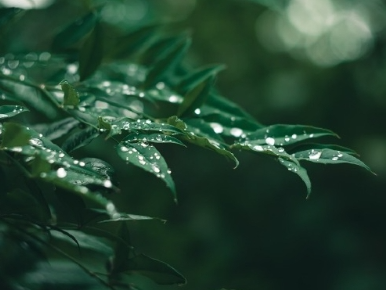 温度记 | 气温飙升！听说冷暖气流在“斗法”，深圳“阵雨套餐”何时发货？