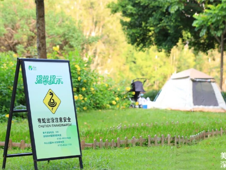 深圳ENJOY | 春日踏青正当时，野外“毒物”需警惕