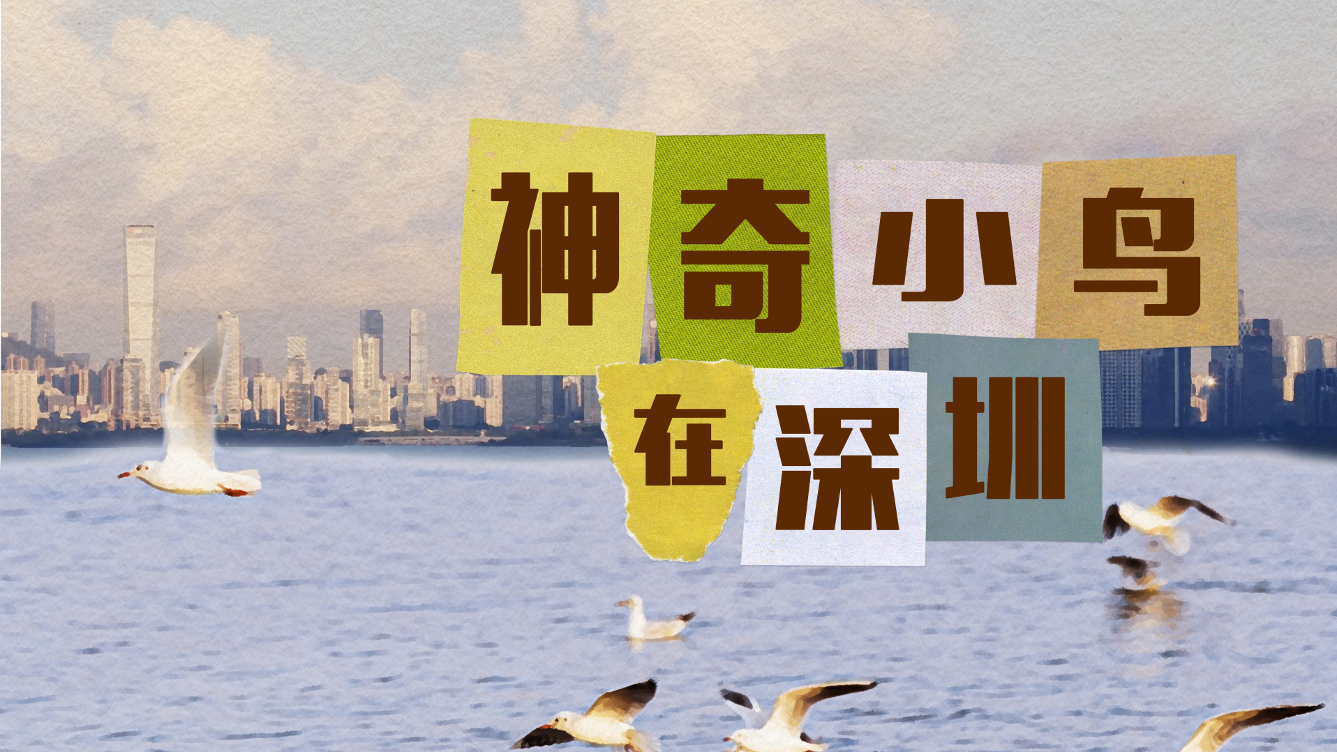 爱鸟周 | 来了就是“深圳鸟”，个个都是“显眼包”