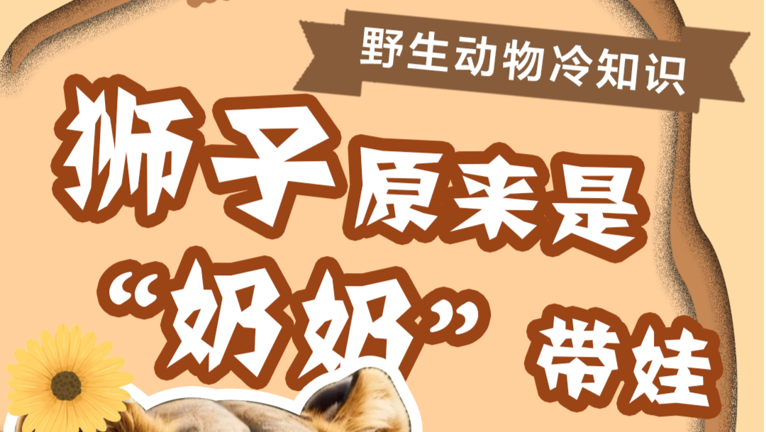 野生动物硬核冷知识你知道几个