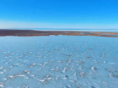 新疆阿勒泰：沉寂一冬的乌伦古湖迎来候鸟回归