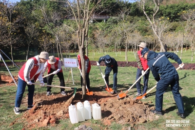 共建绿色家园 深圳海警局开展植树造林活动为鹏城添新绿