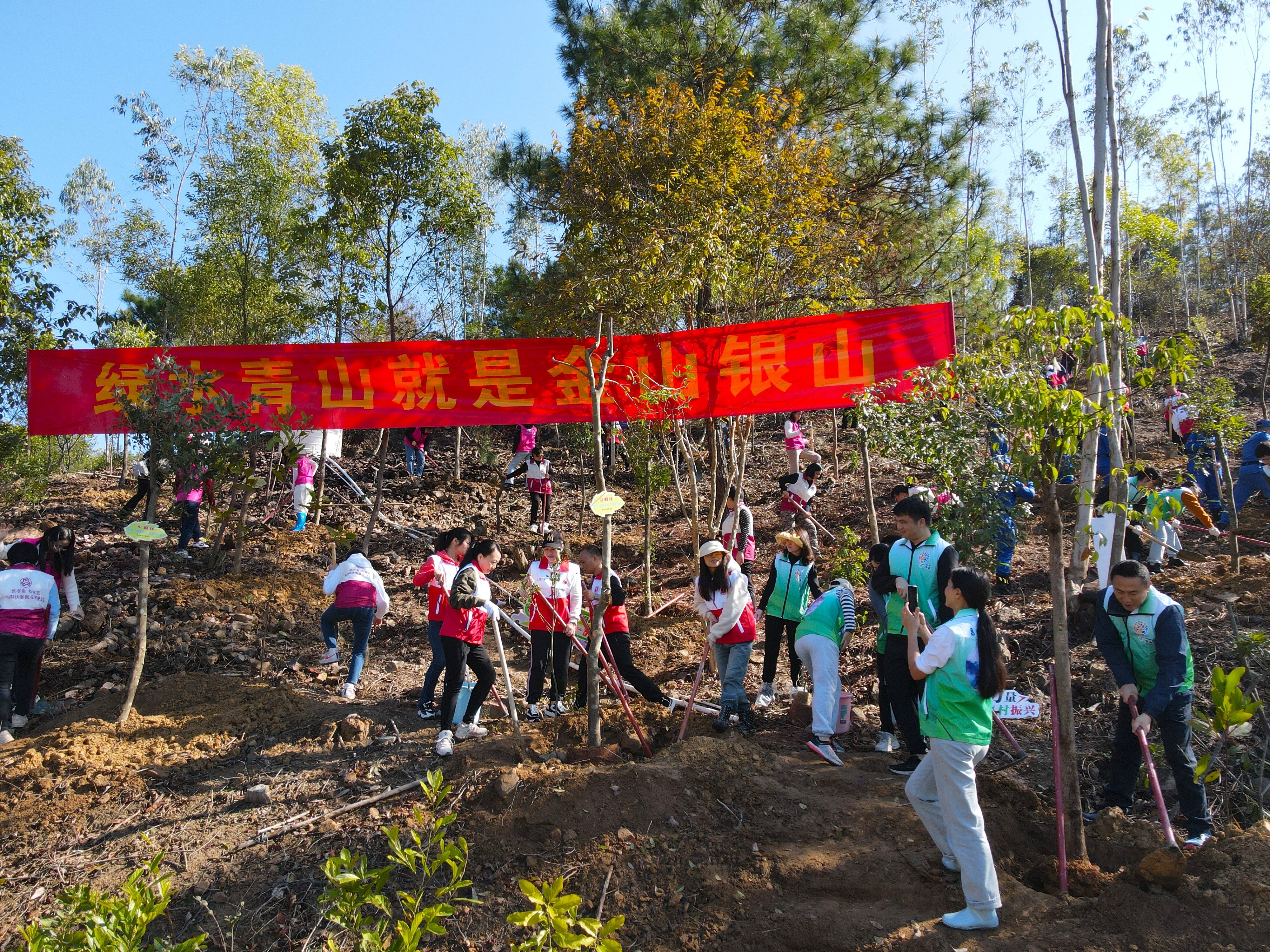 趁春光 添绿忙！今年惠州已义务植树26.5万株