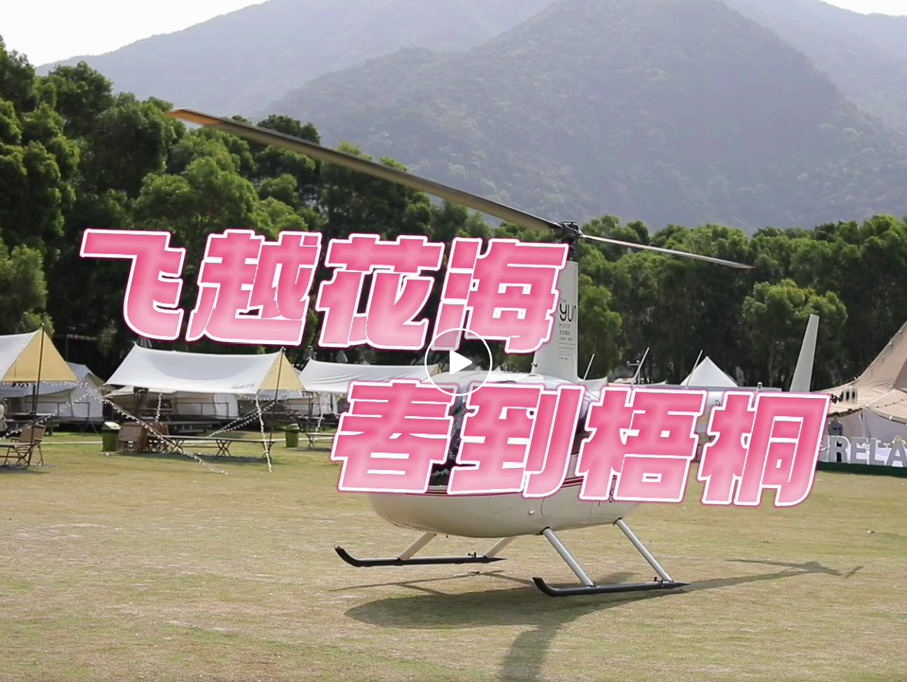 罗湖发布 | 坐直升机看花海！解锁赏毛棉杜鹃新方式啦→