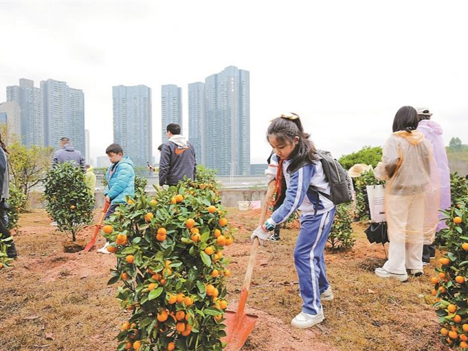 “下岗”年花年桔别扔！深圳设5134个专项回收点助其“再就业”