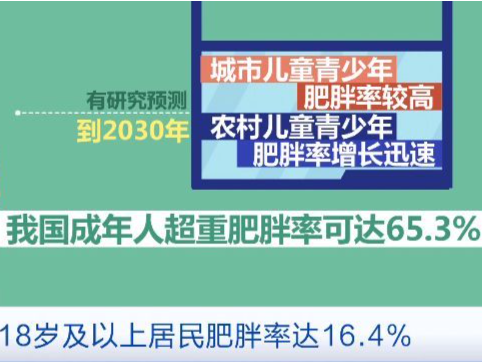 “不吃主食”“光靠运动”是减肥误区！官方“减肥指南”发布→