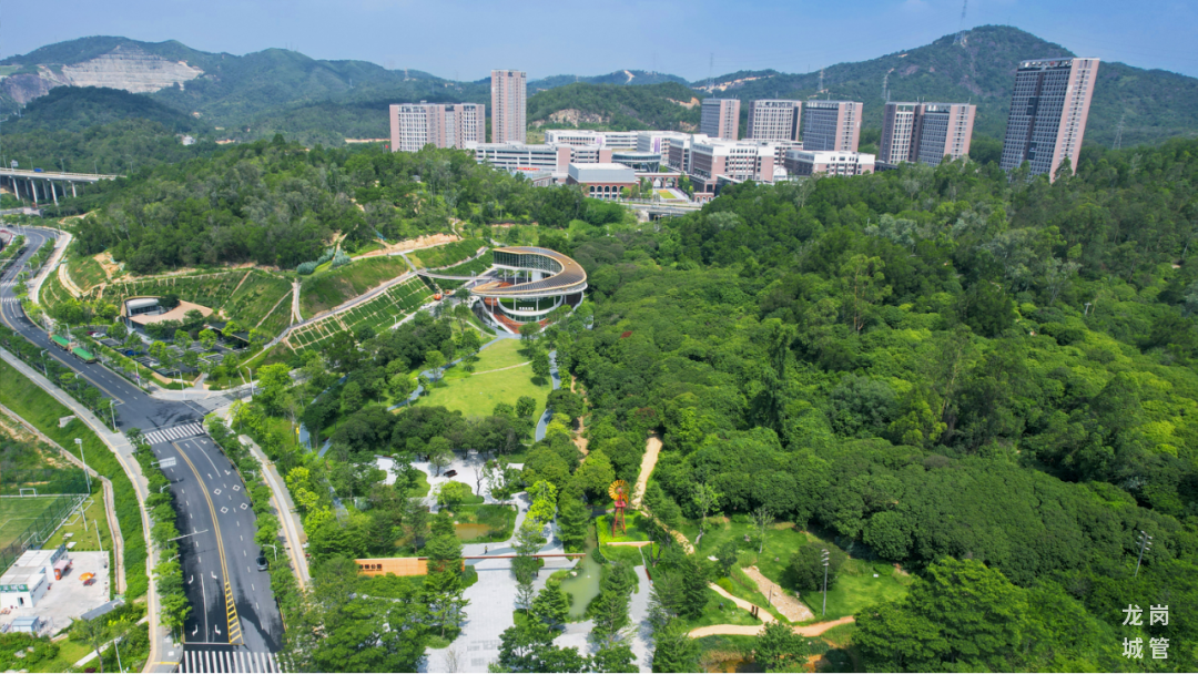（重复，请驳回）打造全民乐享的绿美龙岗新图景！龙岗区全力推进山海连城绿美龙岗生态建设