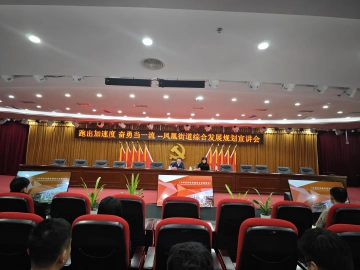 凤凰街道举行综合发展规划暨三年行动计划宣讲会