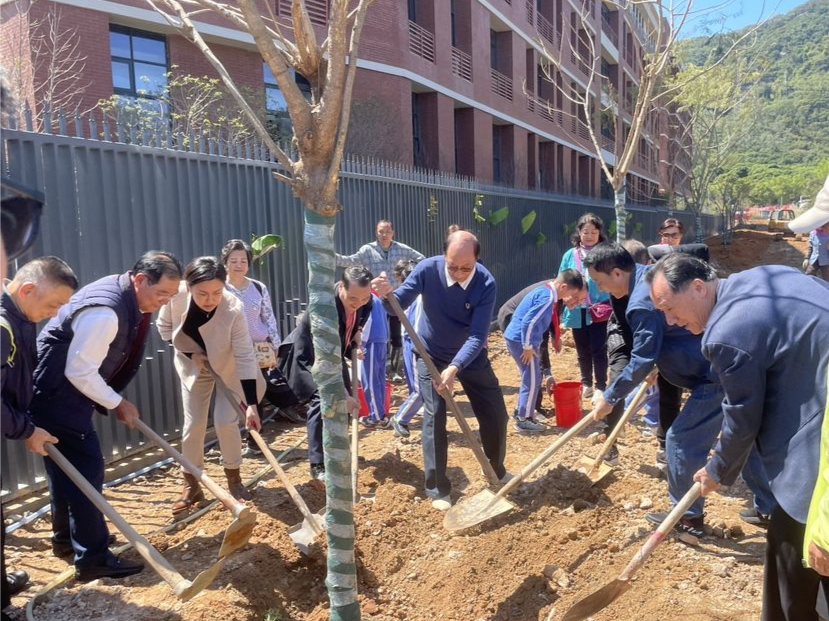 种下凤凰木，引得“凤凰”归！香港大鹏同乡会与深中大鹏学校师生携手添绿
