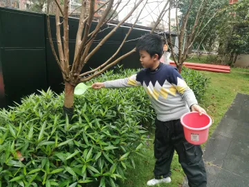 和春天“浇”个朋友，东晓街道木棉岭社区开展志愿者植树节活动