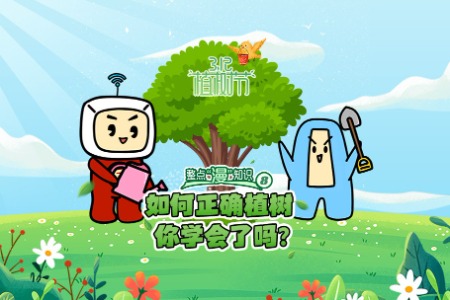 整点漫知识⑧如何正确植树，你学会了吗？