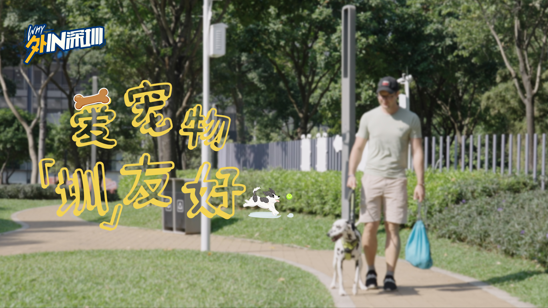 宠物友好深圳上大分！听俄罗斯小伙这样说→
