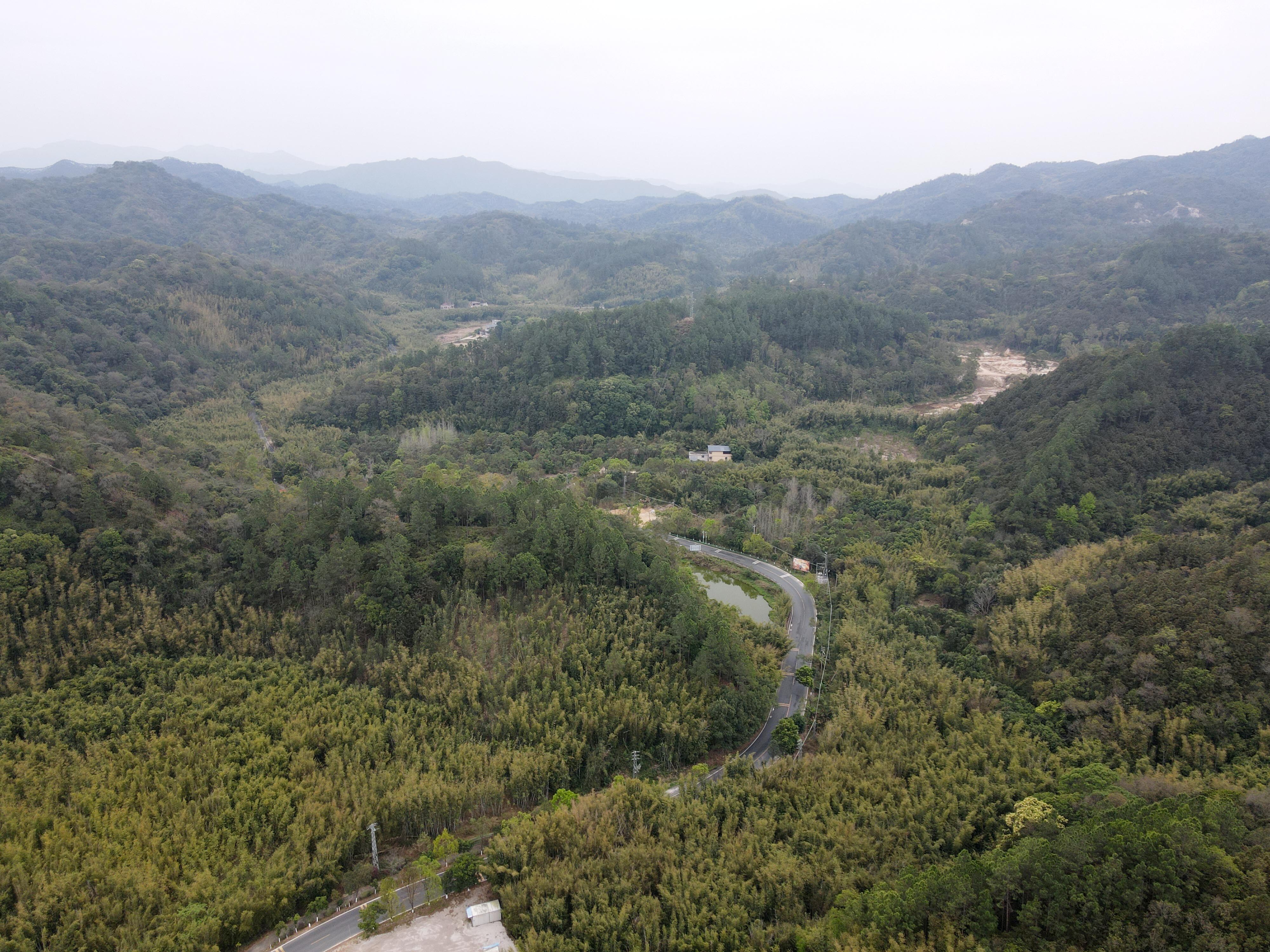 绿美惠州媒体调研行⑩丨惠城区墩子林场：昔日矿山披绿衣 储备经济“绿宝库”