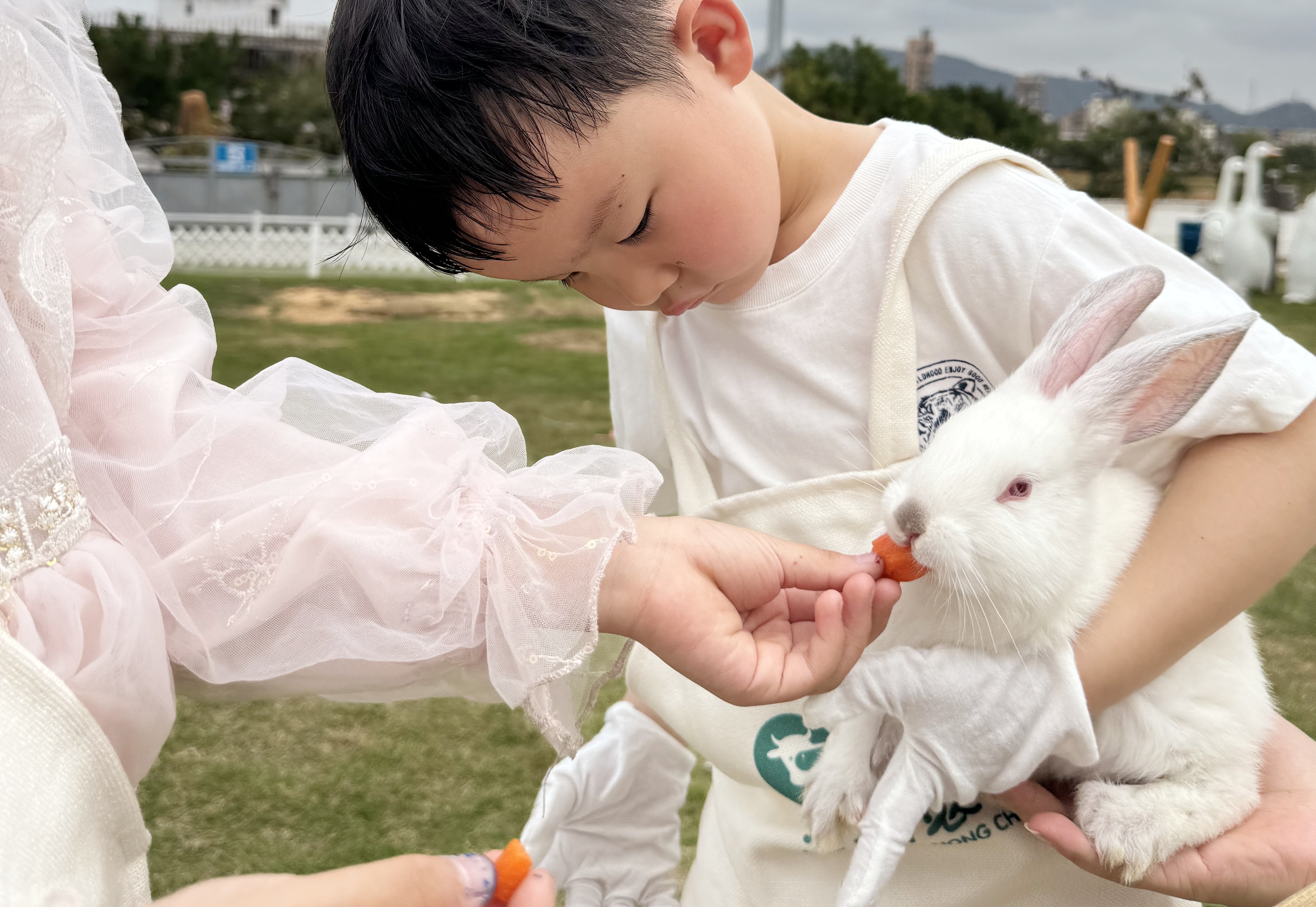 光明农场首届兔子狂欢节盛大开幕，趣味互动活动让游客尽享萌趣时光