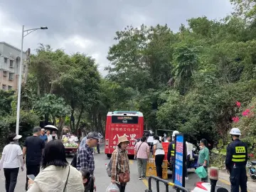 园博园东入口人车易混行，市民呼吁整治违停