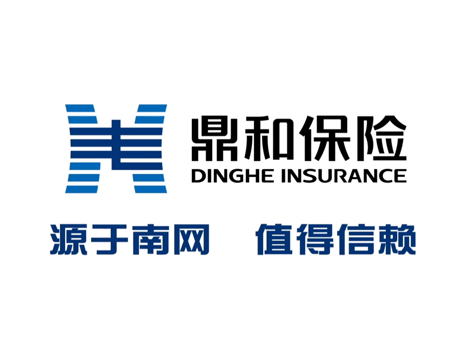 鼎和保险：普惠金融赋能，服务小微实体