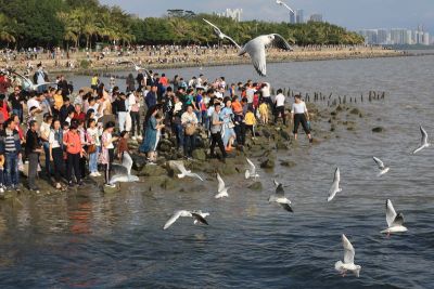 深圳湾部分海域禁渔期拟再延五年
