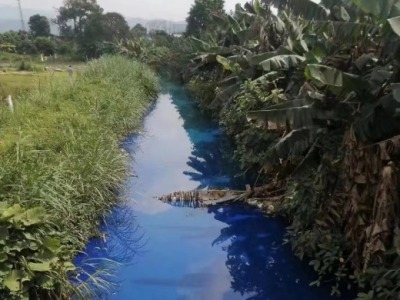 雨水收集口偷排染色剂，虎门一支渠现“蓝彩河”
