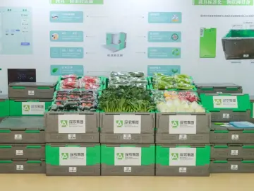 助力“百千万工程”的“深农”力量