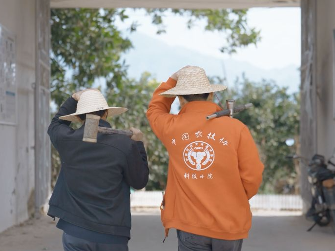 拼多多2023年实现营收2476亿元，助力品质好物与消费升级双向奔赴