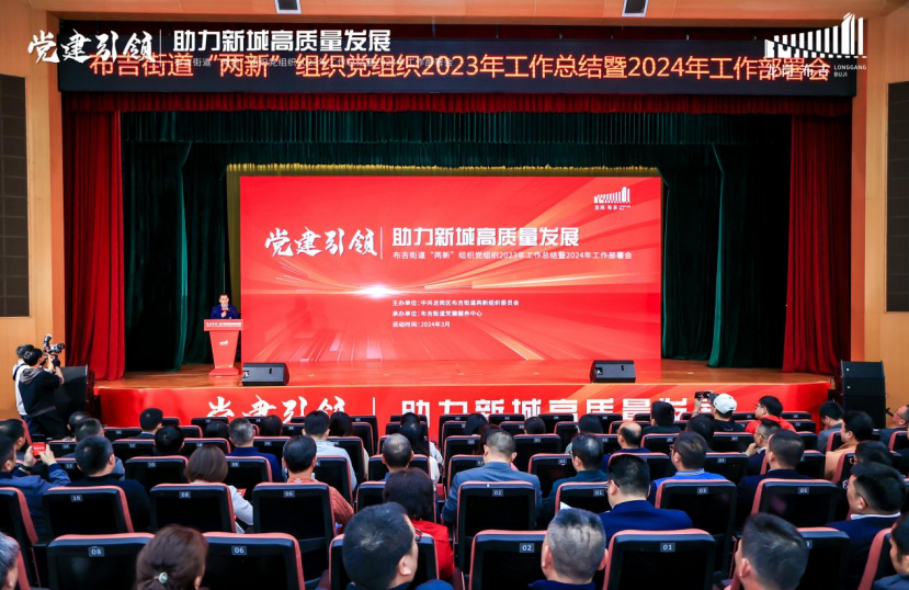 聚力“两新” 筑梦布吉 布吉街道部署两新组织党建工作