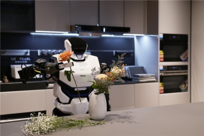 新质生产力正加速，人形机器人首次尝试进入家庭