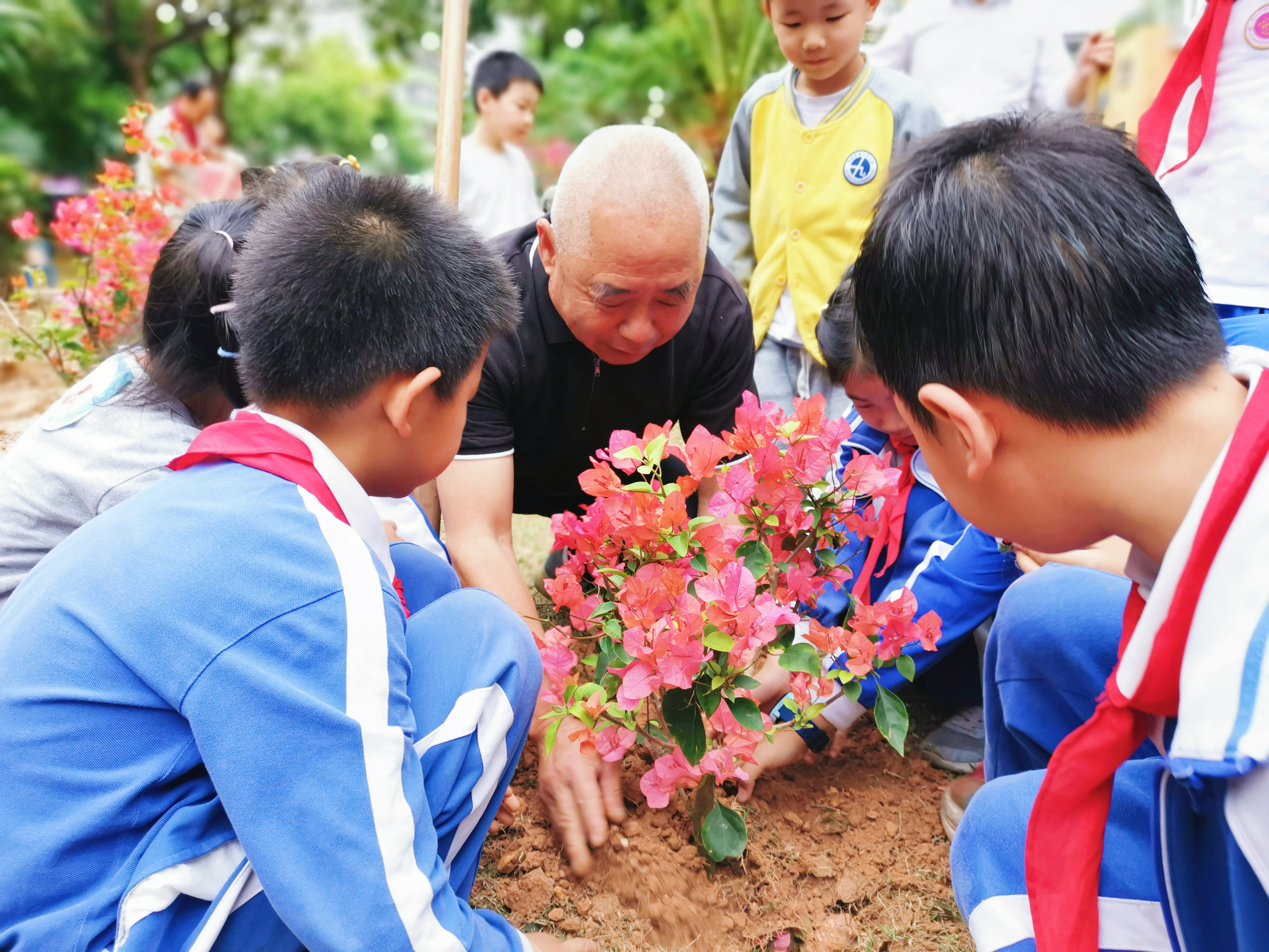 万厦莲花北村：大手牵小手，共筑绿色梦