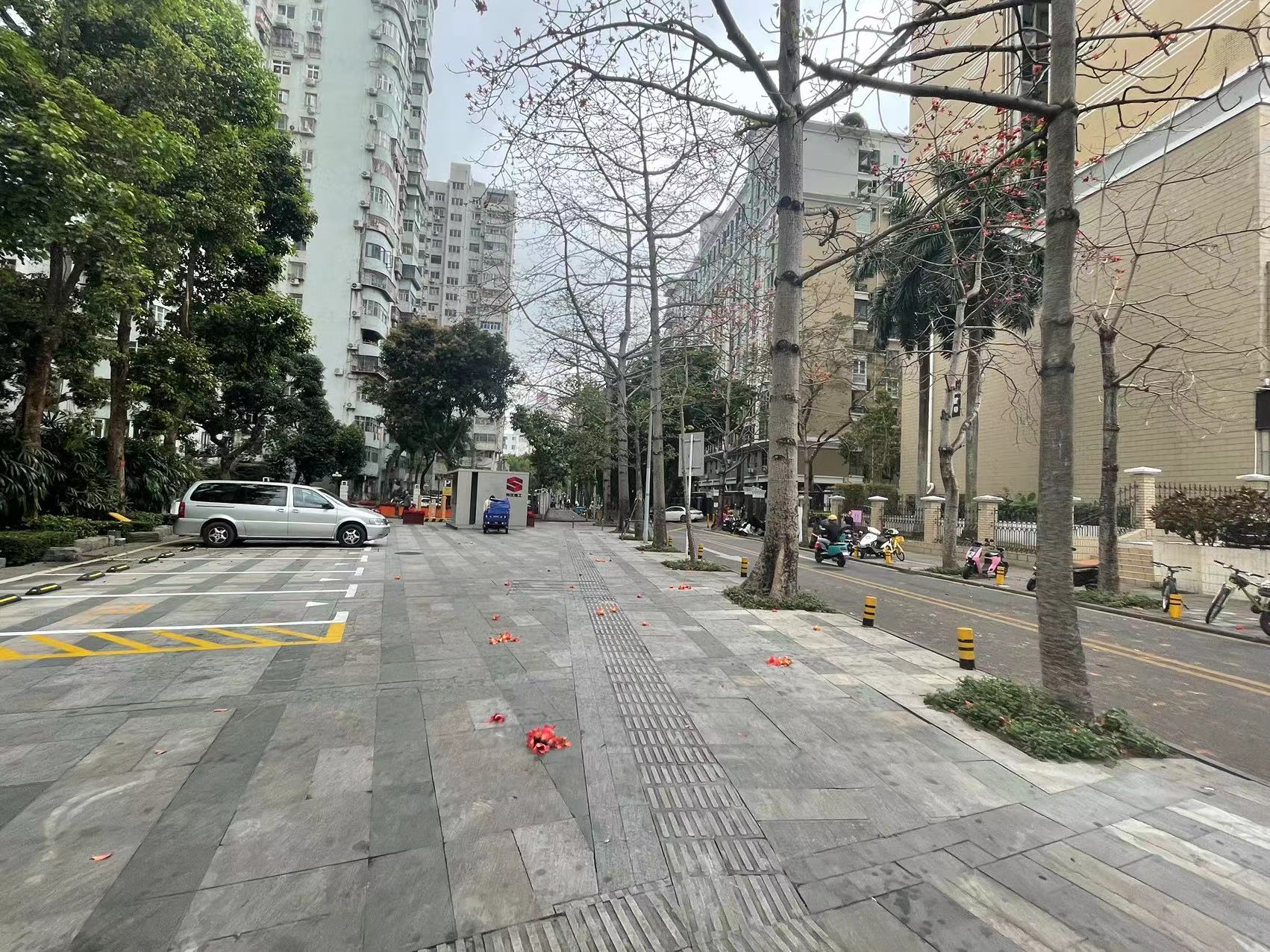 这三类人群不宜食用！医生提醒市民慎用落地木棉花