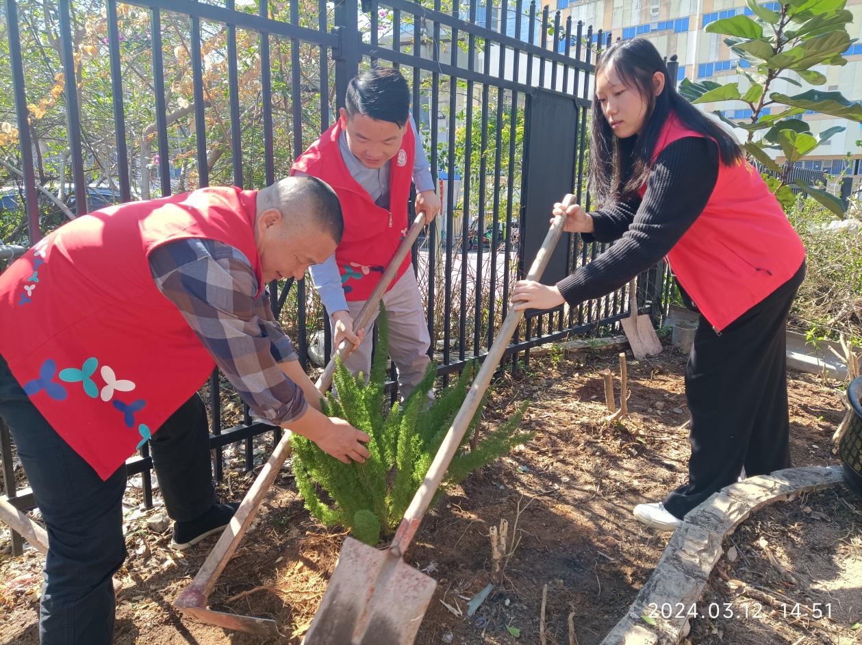 东晓街道兰花社区开展植树节活动