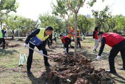 为环境“充植”，市城管和执法局多方联动开展志愿植树活动