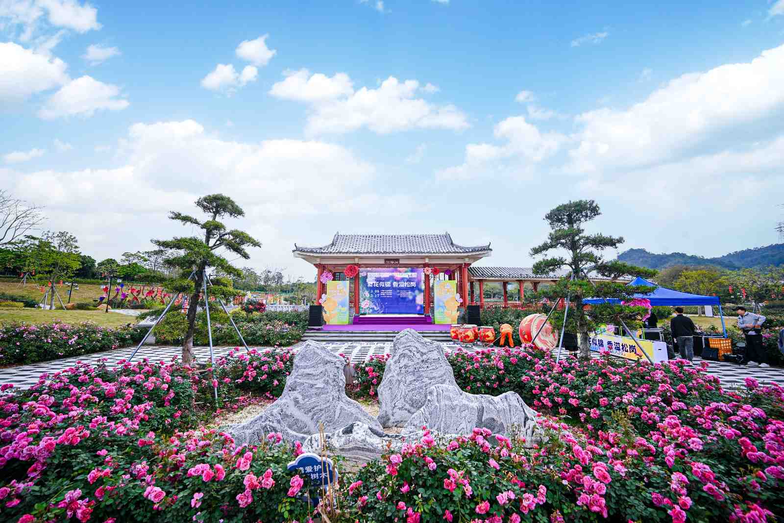 2024深圳月季花展宝安分会场圆满落幕