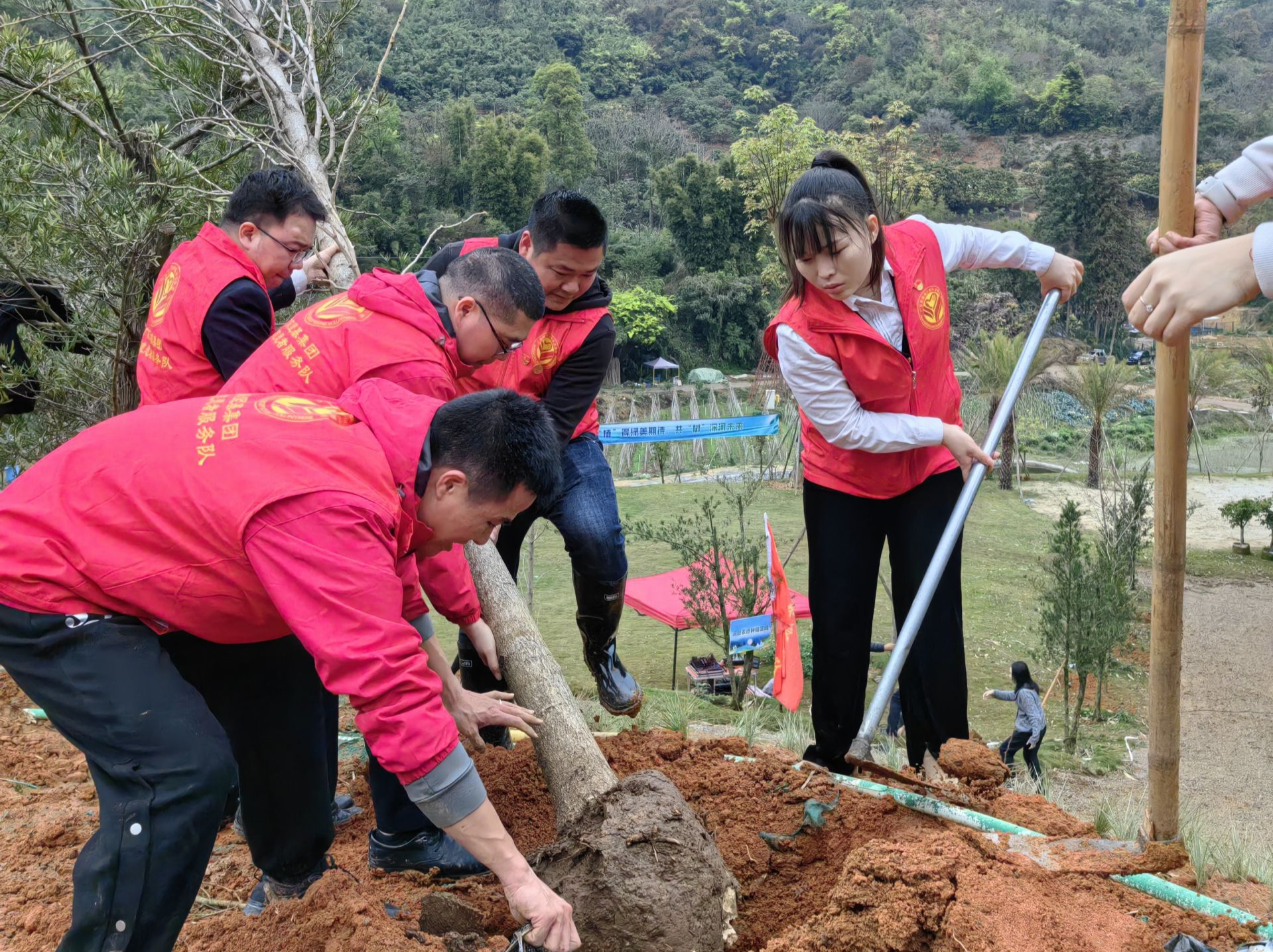 深河共建 圳在帮扶｜深河指挥部参与主办“我在万绿湖有棵树”线下植树活动启动