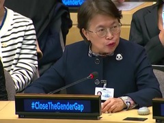 中国代表团出席联合国妇女地位委员会第68届会议 