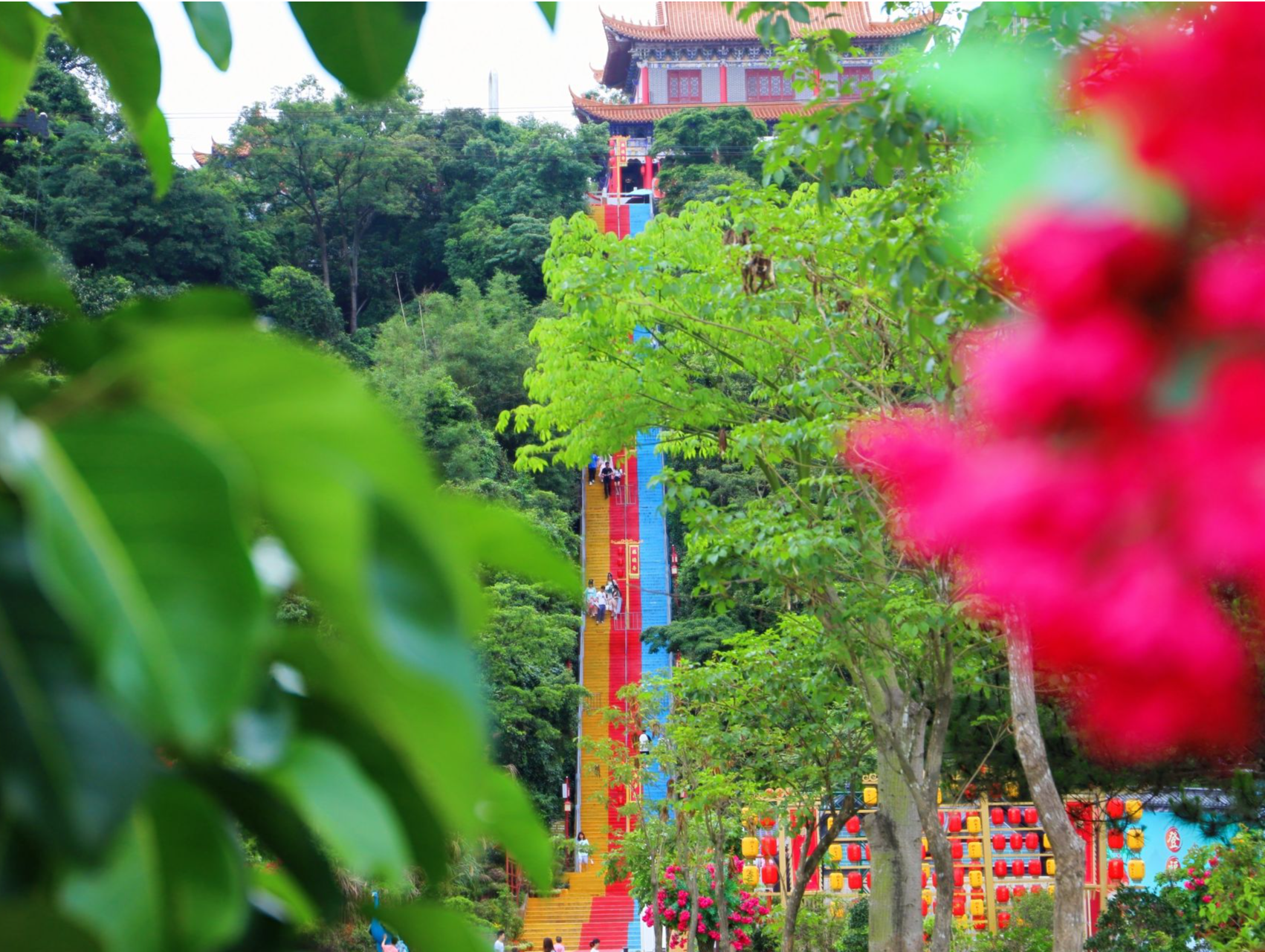 妇女节约“惠”东莞观音山，一路繁花尽享春光无限好
