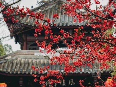 “快闪型”冷空气登场！中东部大范围雨雪铺展，超25省份迎降温