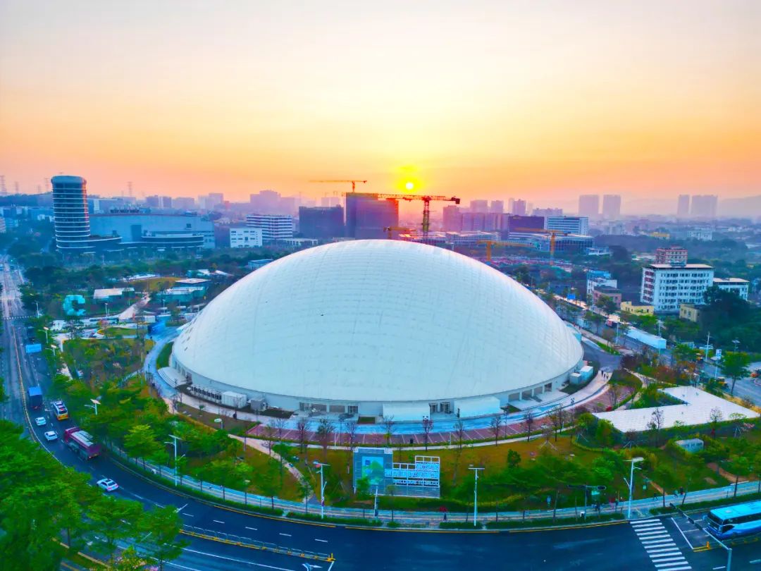 2023龙岗宣传思想文化十件大事出炉