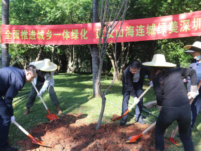 计划种树8500棵以上！深圳福田共绘“城境交融”绿美新风貌