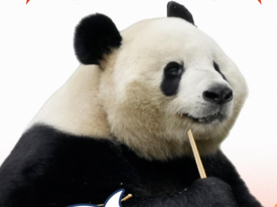 小孩向大熊猫扔橘子皮，家长被开“禁入罚单”