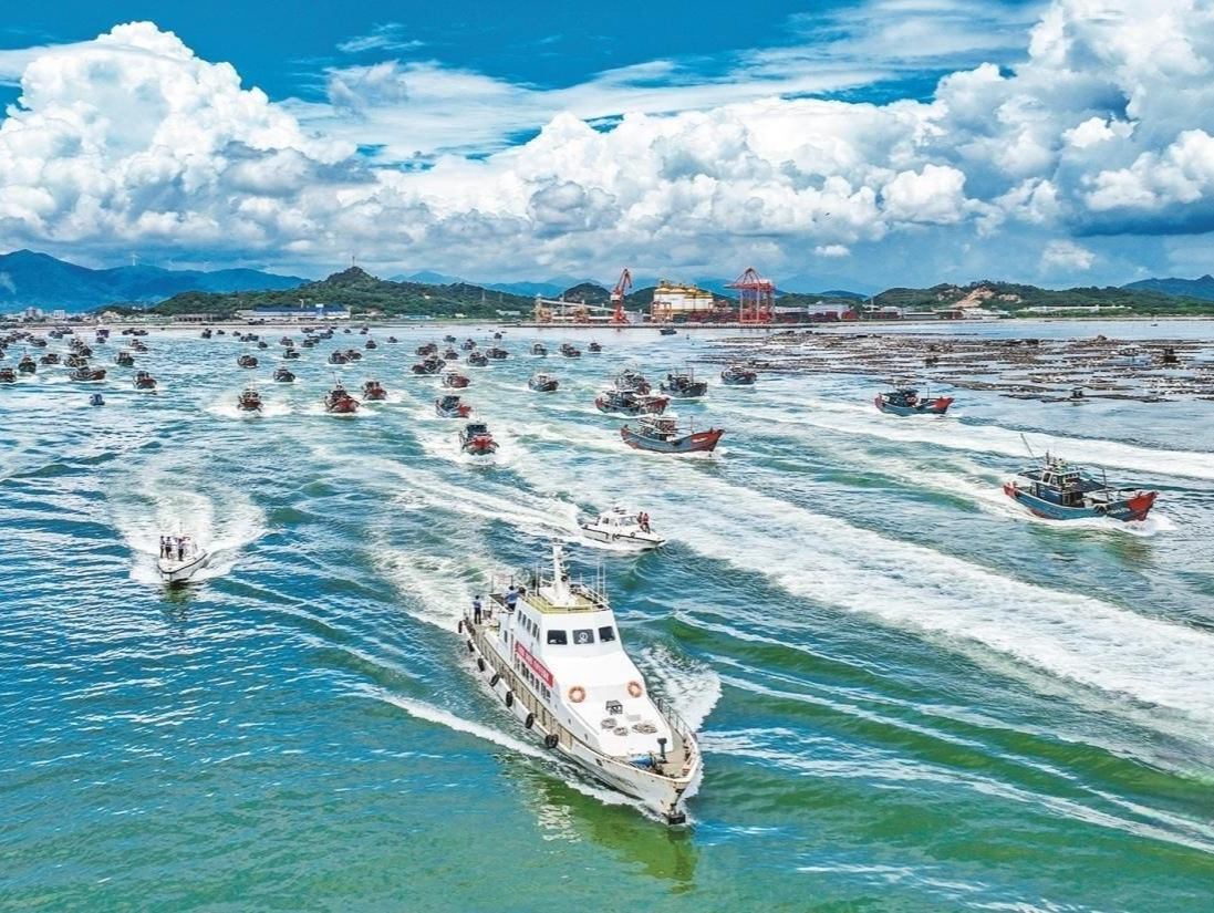 天下海鲜，汕尾领“鲜”｜汕尾海鲜为什么特别好吃？