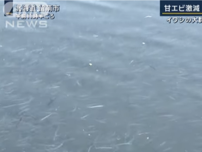 日媒称北海道海域出现异常情况 渔民面临失业危机
