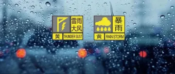 注意！深圳分区暴雨、雷雨大风黄色预警信号生效中