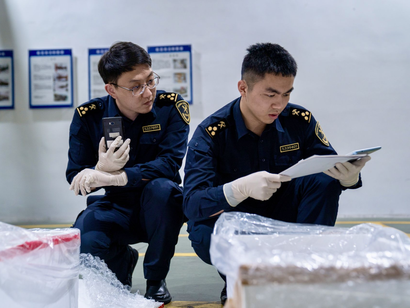 进口“海鲜档”再上新！深圳机场首次进口智利冰鲜海胆